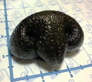 Nose - Realistic Canine