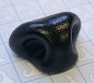 Nose - Cervine