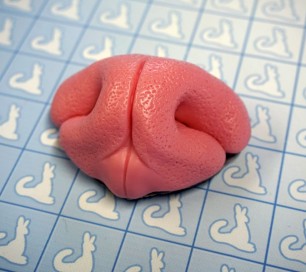 Nose - Realistic Canine - Pre-made (Pink)