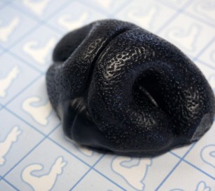 Nose - Realistic Canine - Pre-made (Black)