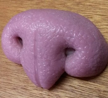 Purple Pink Nose - Realistic Canine - Pre-made